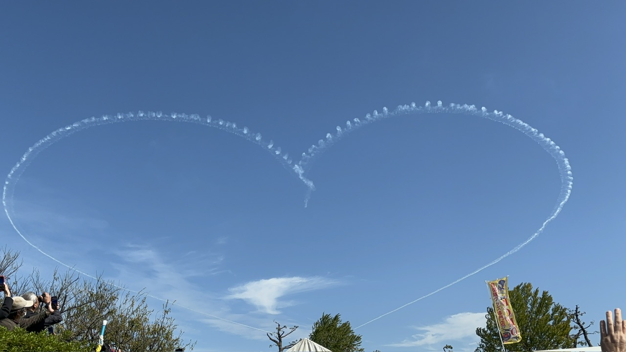 福袋　ブルーインパルス　陸上自衛隊　航空自衛隊　海上自衛隊　ビッグハート　パイロット　飛行機